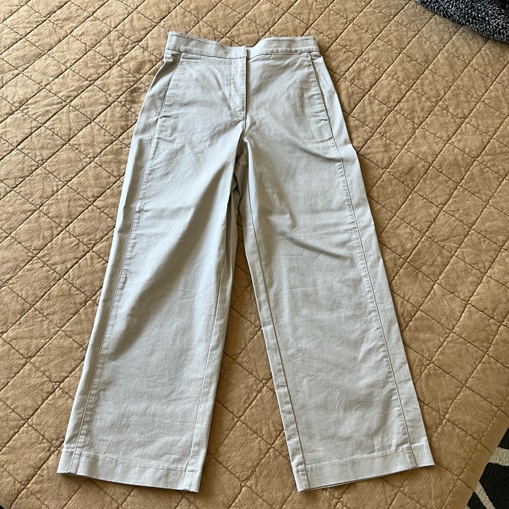 Babaton by Aritzia high waisted wide leg pants. Size 4. NWOT.